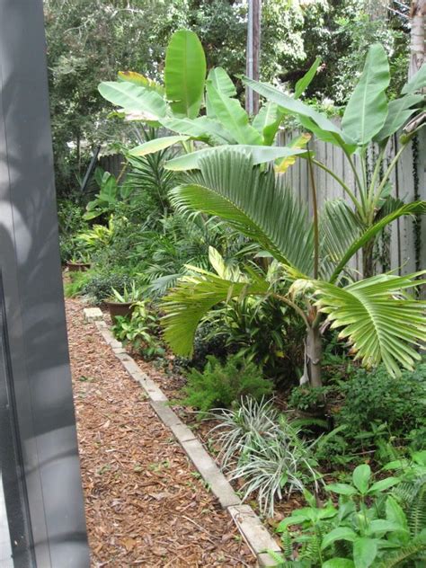 4 tips for your lanai florida inspired living dealername. good plants for florida pool cage - Google Search ...