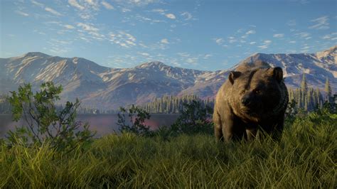 Thehunter Call Of The Wild Yukon Valley Epic Games Store