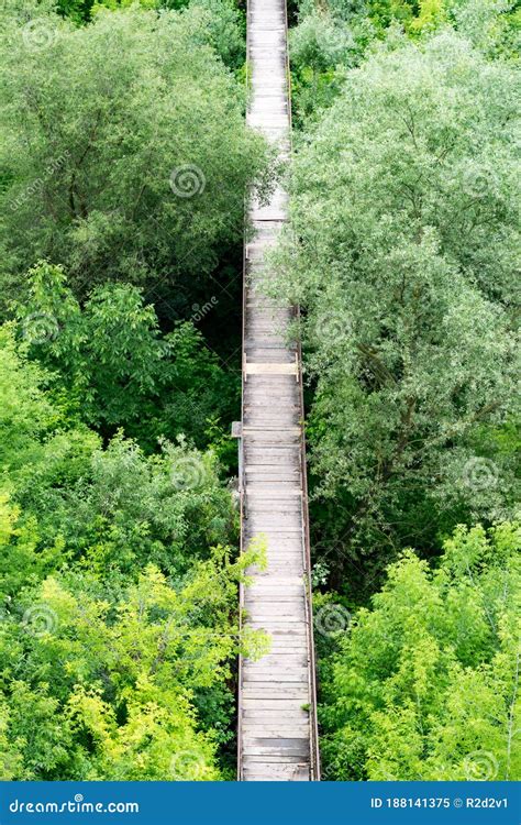 A Wooden Footbridge Over The Dense Thickets Stock Image Image Of