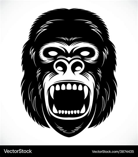 Wild Gorilla Head Royalty Free Vector Image Vectorstock