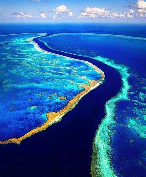 Gran Barrera De Coral Australia Barrera De Coral Barrera De Coral