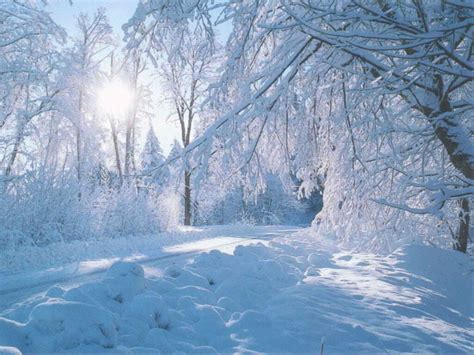 Snow Falling Wallpapers ~ Landscape Wallpapershd