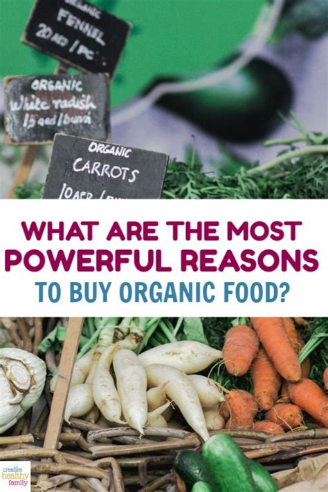 6 Powerful Reasons Why You Should Buy Organic Food Organic Recipes