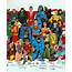 Rare 1988 Original History Of The DC Universe Mail In Art Poster