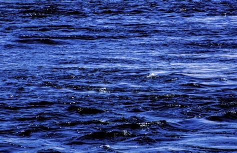 Blue River Water Background Free Stock Photo Public Domain Pictures