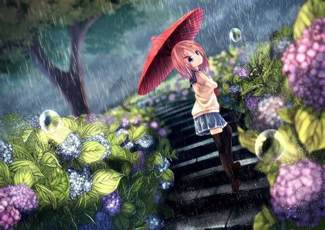 Cats Original Characters Umbrella Anime Girls Goroku Rain Hd