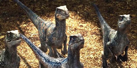 Raptors Delta Blue Charlie And Echo Velociraptor Jurassic Park