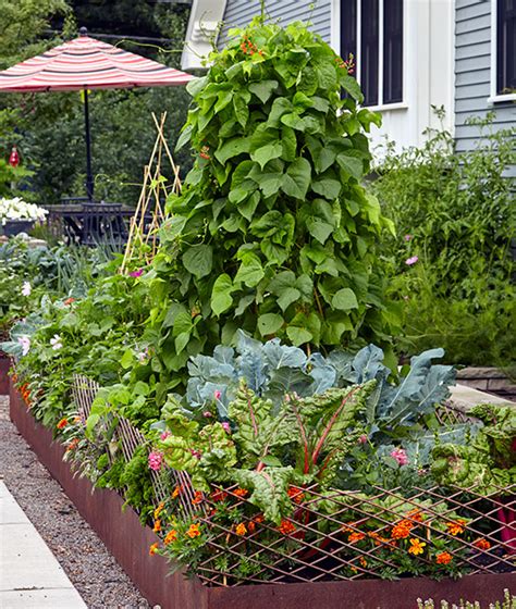 Vertical Vegetable Garden Design Ideas Garden Design Ideas