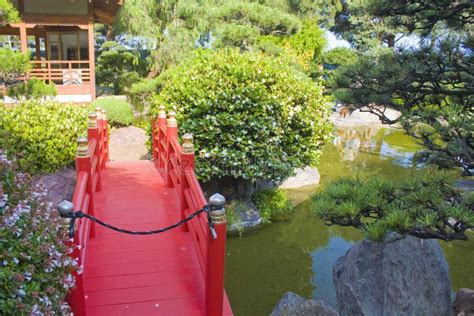 Japanese Garden In Monte Carlo Monaco Stock Photo Image Of Palm