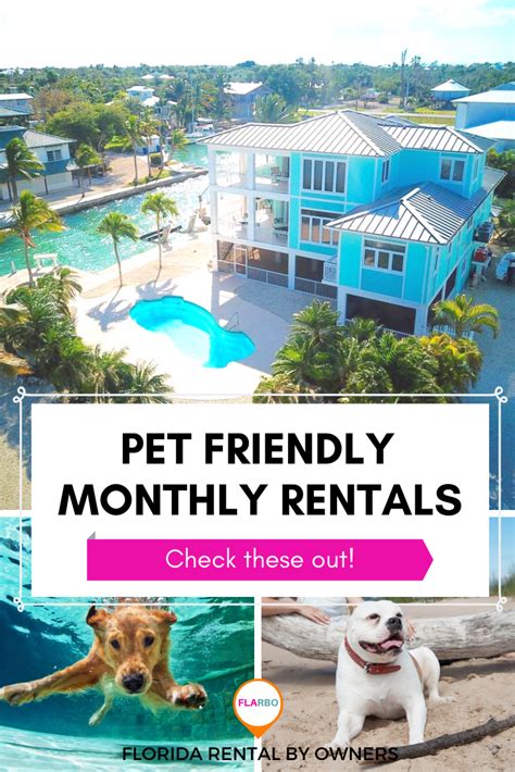 The Best Pet Friendly Monthly Rentals In Florida Florida Rental By