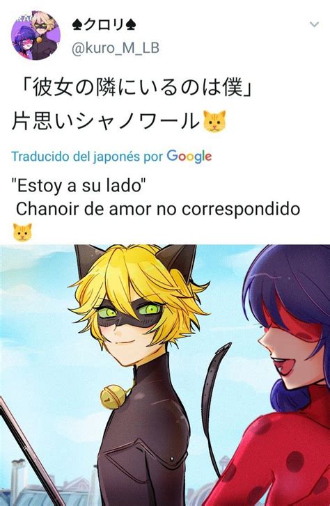 Pin De Angélica Almirón Quirós En Ladybug Y Cat Noirmarinette Y Adrián