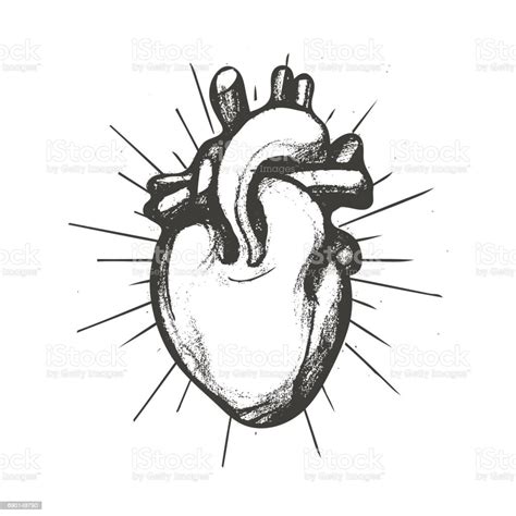Black And White Handdrawn Human Heart With Rays And Place For Message