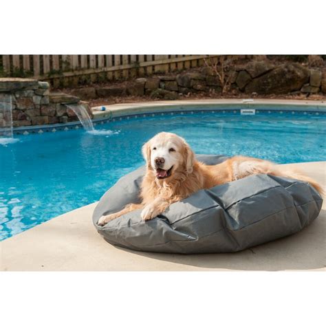 Snoozer Dog Pillowclassic With Waterproof Covering And Reviews Wayfair