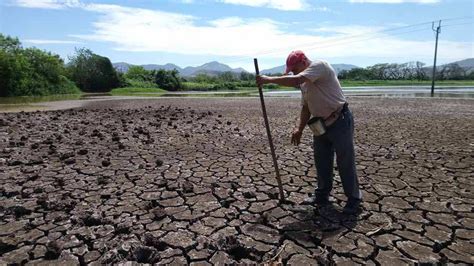 El Corredor Seco De Centroamérica Impactará A 24 Millones De Personas