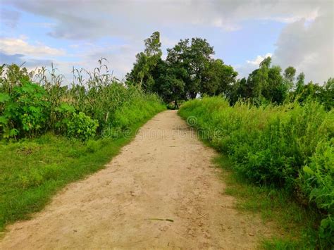 Unconstructed Village Road In India Made Of Mud Natural View Stock