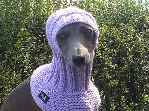 Dog Snood Hand Knit Dog Hat Majstyle