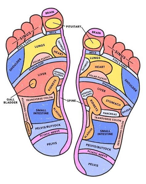 What Is A Reflexology Chart And How Do I Use It