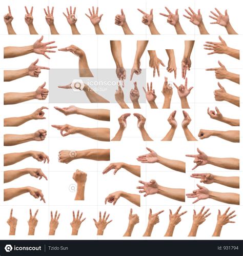 Various Gesture Of Man Hand Over White Background Photo Photo