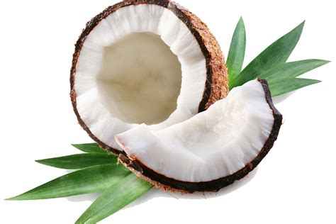 Coconut Png Transparent Images Png All