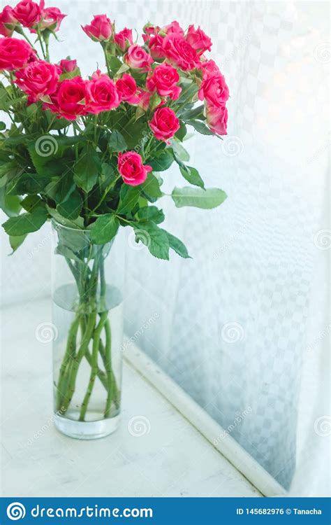 Background Of The Many Delicate Little Pink Roses Stock Photo Image