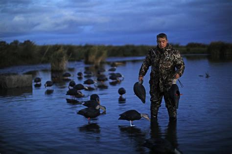 Australia Duck Hunting 5294 Ramsey Russells