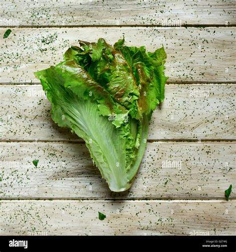 High Angle Shot Of A Romaine Lettuce On A Rustic White Table Stock