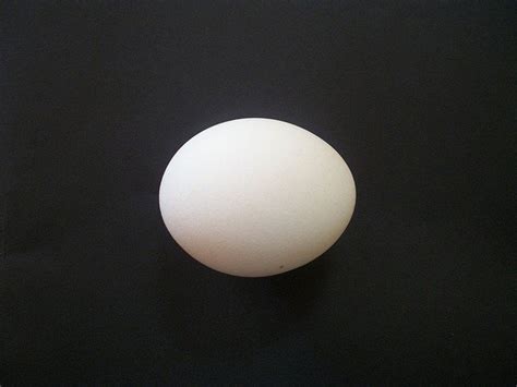 Egg Isolated Chicken · Free Photo On Pixabay