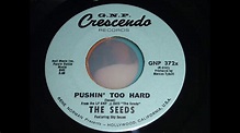 The Seeds - Pushin' Too Hard 45rpm - YouTube