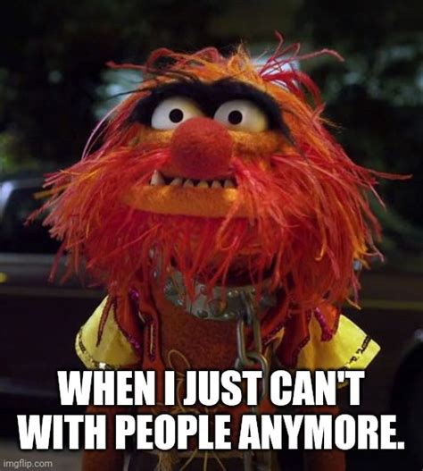Muppet Look Away Meme