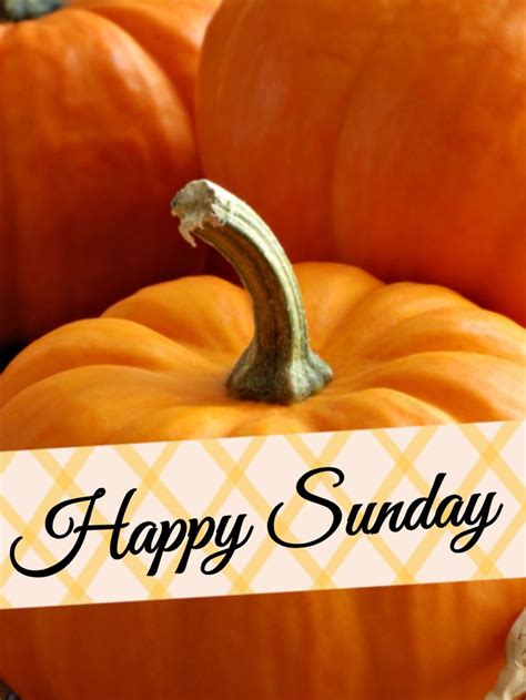 Its Sunday And Its October 1 Happy Sunday Simple Pleasures Sunday