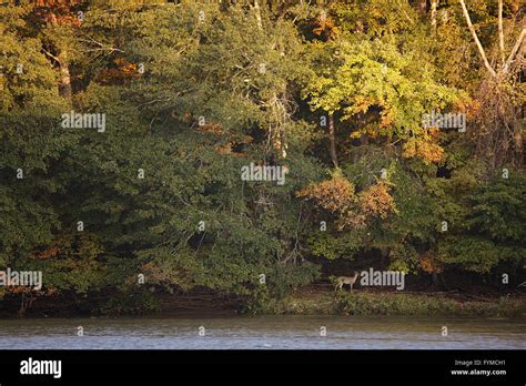 Chattahoochee River Park Hi Res Stock Photography And Images Alamy