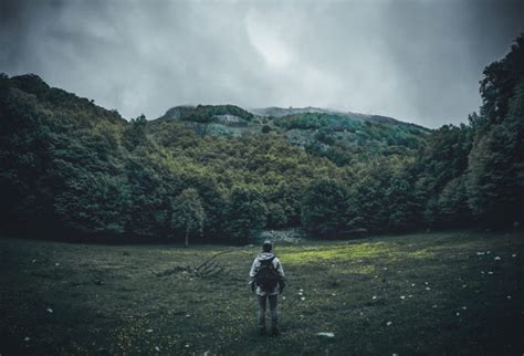 Lightroom presets for dark and dramatic landscapes. Cinematic Dark Woods Lightroom Presets free download ...