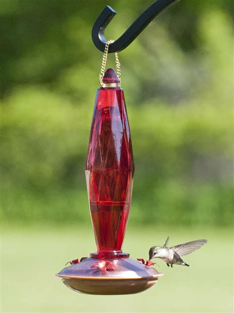Amazon Com Audubon Jewel Cut Glass Hummingbird Feeder Model Nah My