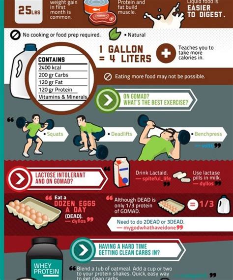 512 likes · 2 talking about this. Reddit's Guide to Fitness {Infographic} - Best Infographics