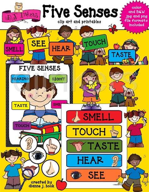 Preschool Five Senses Clipart 1 Clip Art Kids Senses Senses Preschool