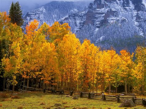 Colorado Mountains In The Fall Aspen Trees Colorado Landscape