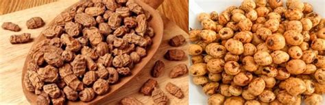Tiger Nut 7 Essential Health Benefits Of Tiger Nuts Finelib Com