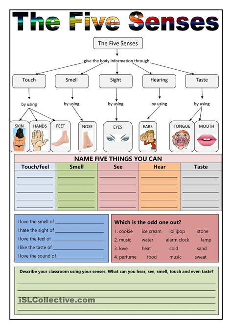 The Five Senses English Primary School Learn English Senses