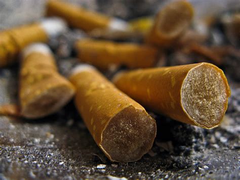 Are Cigarette Butts Biodegradable