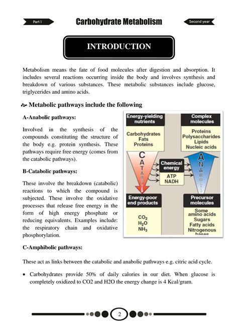 SOLUTION Carbohydrate Metabolism Fculty Of Medicine Studypool