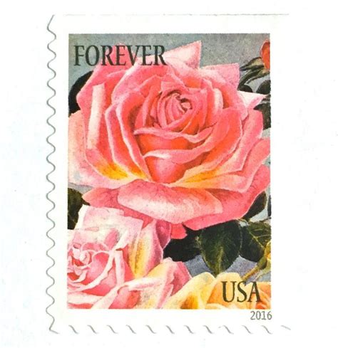 10 Pink Rose Forever Postage Stamps Unused Vintage Botanical Etsy