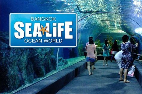 2023 Sea Life Bangkok Ocean World Admisssion Ticket