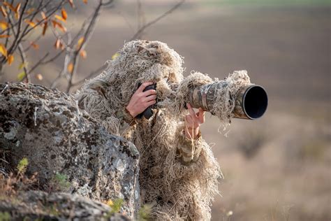 Wildlife-Fotografie-Ausrüstung: Kameras & Objektive für Wildtierfotos