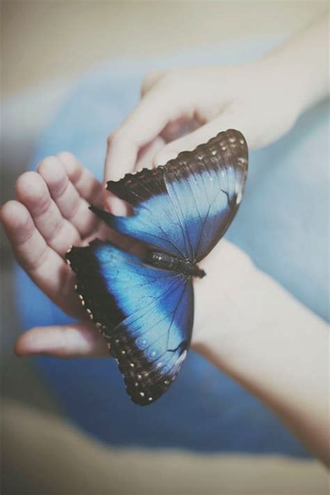 This pose helps stimulate your heart , stretches inner thighs and soothes menstrual cramps. butterfly | Beautiful butterflies, Life is strange, Butterfly