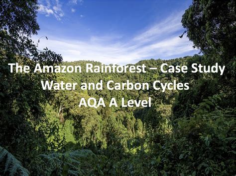 Ecotourism Amazon Rainforest Case Study