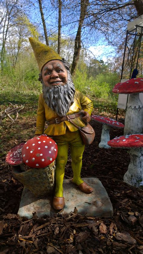 But now you know that it actually looks after you and your garden. Image by Barbara Dullum on Gnomes and fairies | Gnome ...