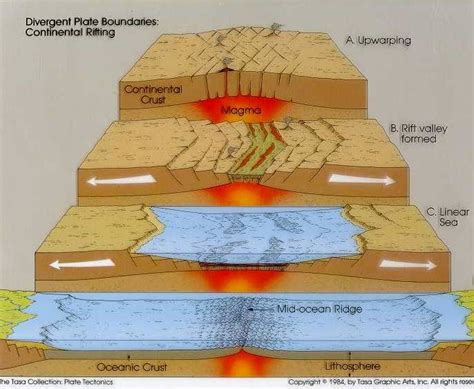 Groupe H La Tectonique Des Plaques Dorsales Oc Aniques