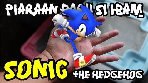 The Real Sonic The Hedgehog Youtube