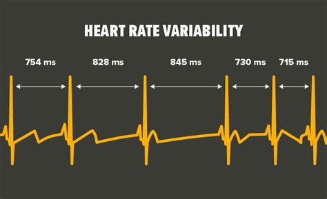 A Beginners Guide To Heart Rate Variability Hrv Metabolic Meals Blog