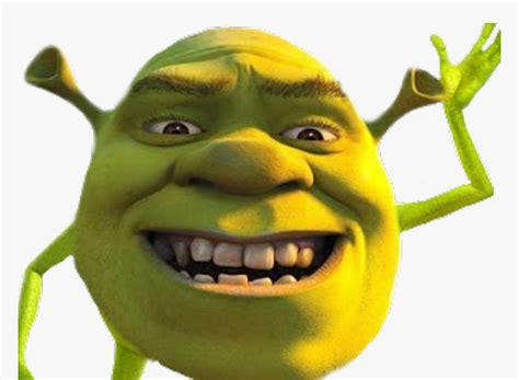 Shrek Donkey Meme Face
